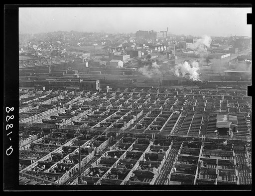 Stockyards. South Omaha, Nebraska