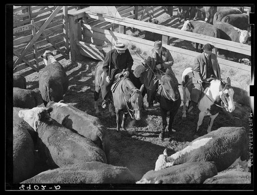 Salesman and two buyers. South Omaha stockyards. Nebraska