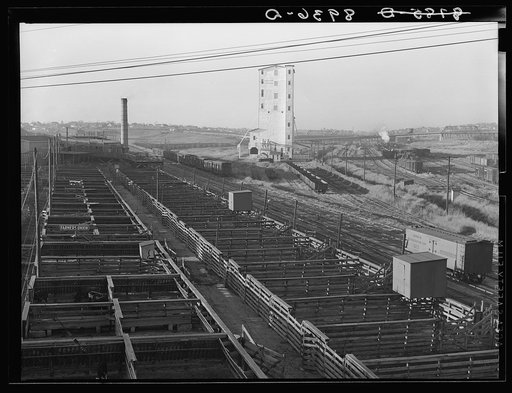 Stockyards. South Omaha, Nebraska