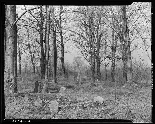 Four new graves in cemetery at Kempton, West Virginia, coal town. The infant mortality rate in this town is very high