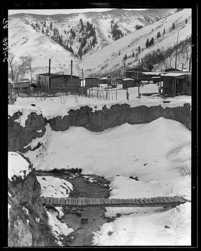 Consumers, near Price, Utah. View of company-owned houses. Utah coal town