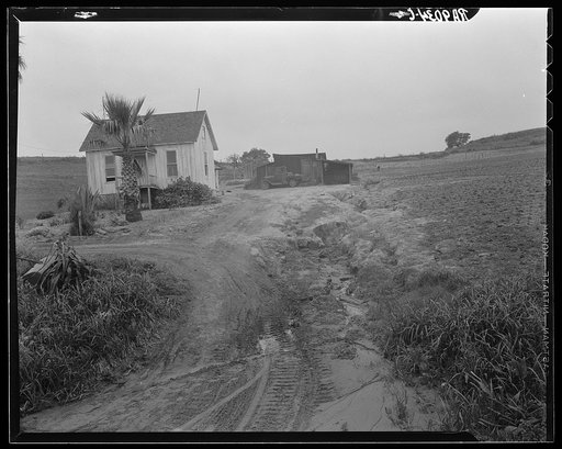 Eroded field. San Luis Obispo County, California