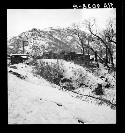 Consumers, near Price, Utah. Company housing in coal town