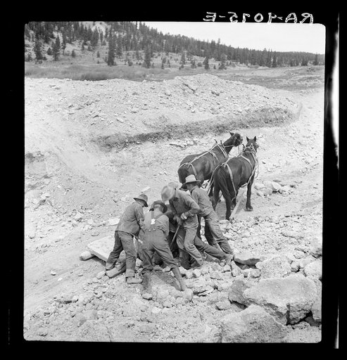 Widtsoe land use adjustment project. Garfield County, Utah. Loading boulder on stone boat, while excavating new spillway of Tropic Dam