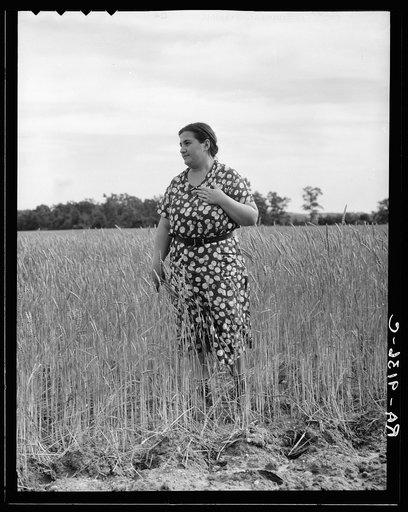 Hightstown, New Jersey. Jewish-American farm mother, Mrs. Cohen, wife of the farm manager