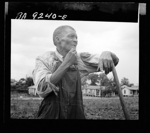 Hoe culture in the South. Negro farmhand. Near Birmingham, Alabama