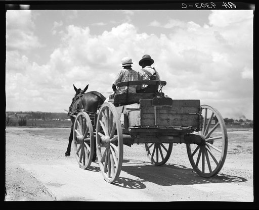 Transportation in the South. Mississippi