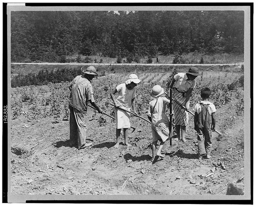 Alabama tenant farmer and children. Family labor in cotton. Near Anniston, Alabama