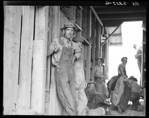 Farm hands. Threshing day near Durham, North Carolina