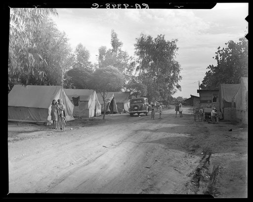 Camp of migratory fruit pickers. Farmington, California