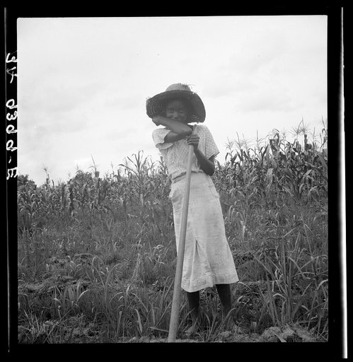 Negro girl working in the fields. Mississippi Delta