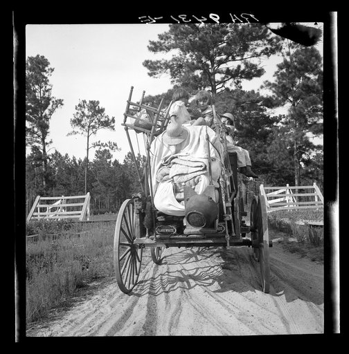 Moving day in the turpentine pine forest country. Northern Florida