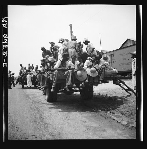 Peach pickers being driven to the orchards. They earn seventy-five cents a day. Muscella, Georgia