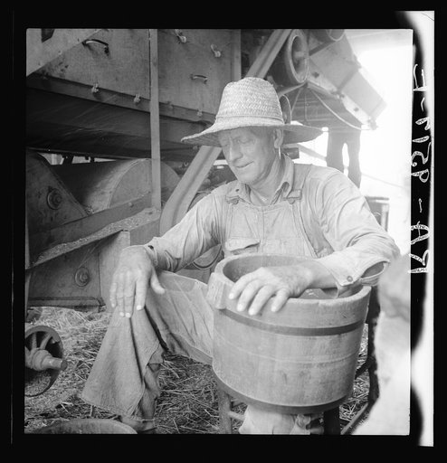 American farmer near Durham, North Carolina