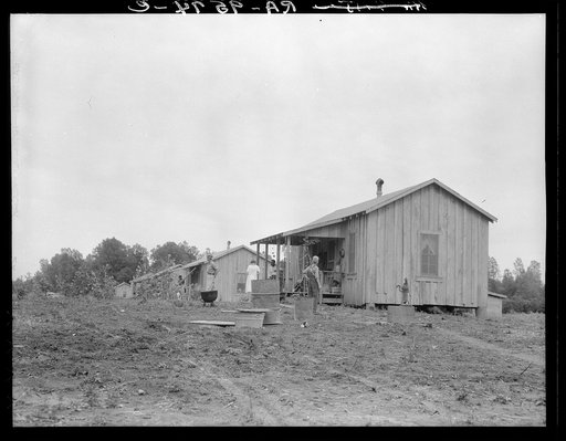 New cabins at Hill House, Mississippi