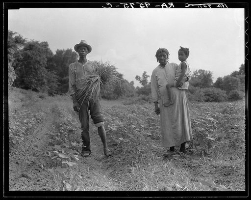 A Mississippi Negro family who live on a cotton patch near Vicksburg