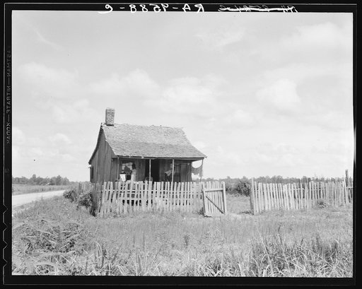 Plantation cotton cabin (Negro). Mississippi Delta, near Vicksburg