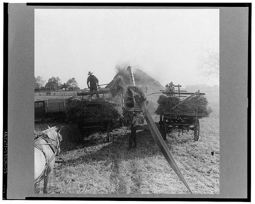 The threshing of oats. Clayton, Indiana, south of Indianapolis