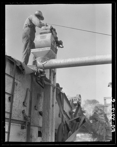 Threshing oats. Clayton, Indiana