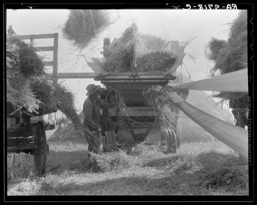The threshing of oats. Clayton, Indiana, south of Indianapolis