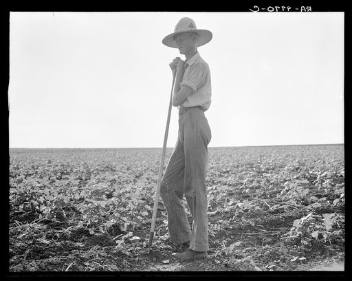 The long line of Texas. Near Dallas