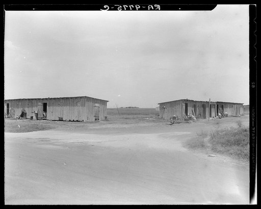 Cotton pickers camp near Robstown, Texas
