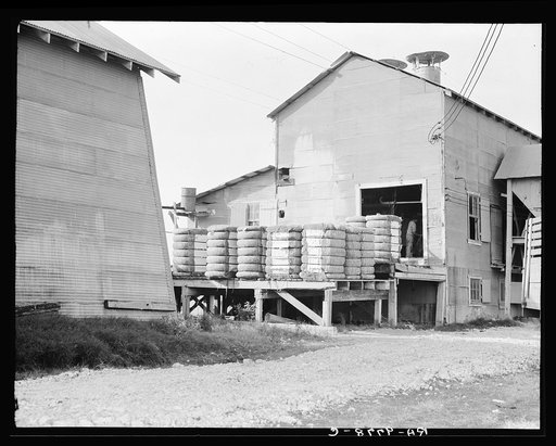Cotton bales on gin platform. Robstown, Texas
