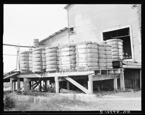 Bales of cotton on gin platform. Robstown, Texas