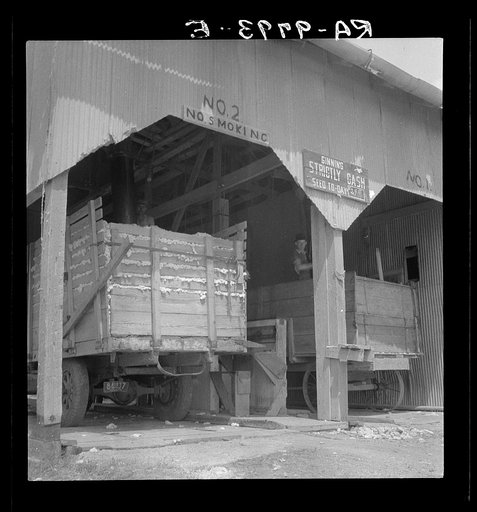 The cotton gin near Robstown, Texas