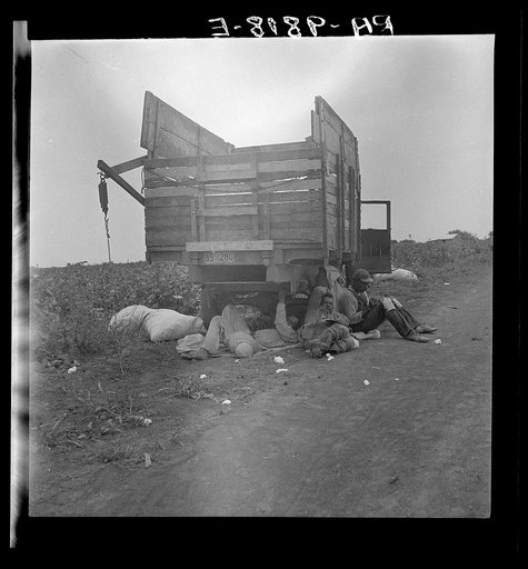 Cotton pickers' lunchtime. Near Corpus Christi, Texas