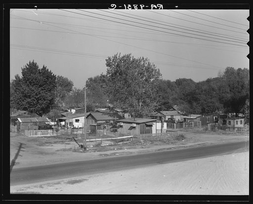 Winter migrant camp on the outskirts of Sacramento, California. Each family has to build its own shack; they pay one dollar and twenty-five cents a month ground rent, including water. Eighty families living here in November 1936. They work in the fruit during the summer, migrating from harvest to ha