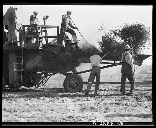 Bean thresher. Mechanized agriculture between Turlock and Merced, California