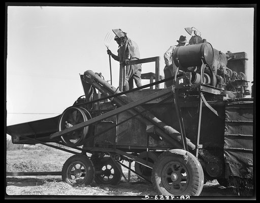 Bean thresher. Mechanized agriculture between Turlock and Merced, California
