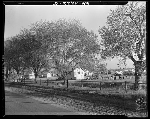 View of Kern migrant camp, California