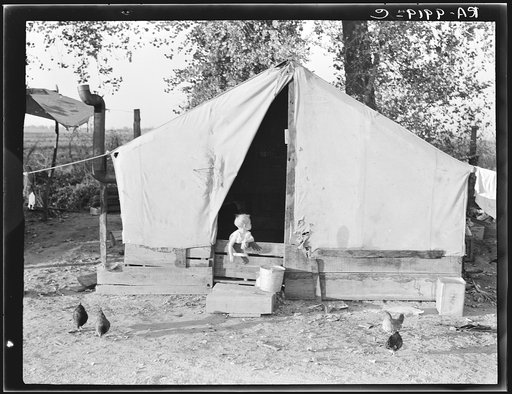 Migratory orange picker's camp. Exeter, California