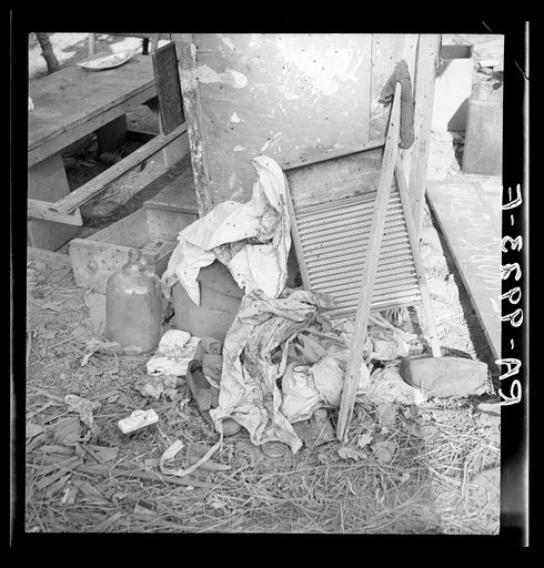 Dirty clothes and flies. American River camp, near Sacramento, California