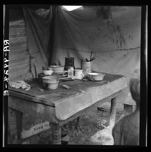 Food supply of migrant family. American River camp near Sacramento, California
