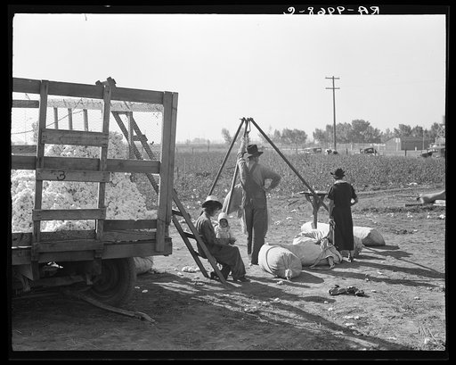 Cotton weigher. Southern San Joaquin Valley, California