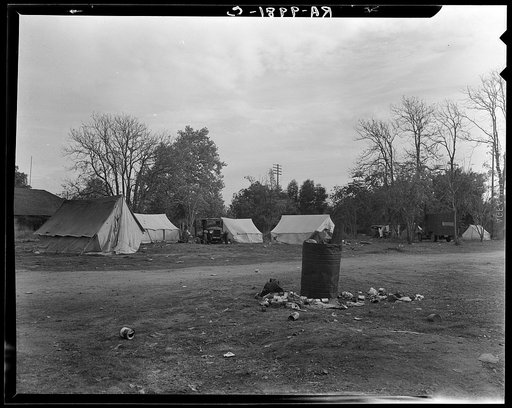 Squatters' camp near Farmersville. Tulare County, California