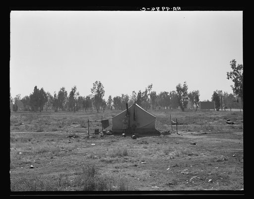 Children of drought refugees camped by highway outside of Fresno, California. The parents are working in the cotton field