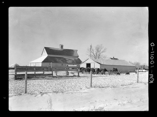 Some of the farm buildings of owner-operated farm. Three hundred and sixty acres owned by Harry Madsen near Dickens, Iowa. Note the excellent accomodations for livestock