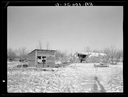 Chicken house and cattle barn, made of straw and wire, on William Helmke farm near Dickens, Iowa. The ninety acres and the crop share lease owned by a lawyer. All the buildings are of his own construction