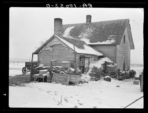 House on Edmond William's farm banked with manure. Straw or manure banking is common practice in Iowa, but good houses require little or no banking