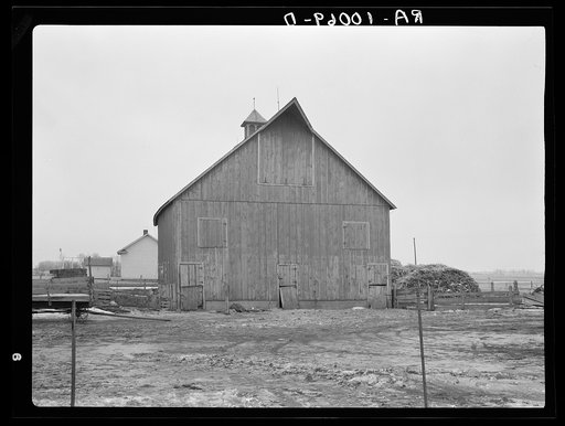 Barn of Lyle Askeland farm, six hundred forty acres near Armstrong, Iowa. Owned by loan company. Until recently it was owned by absentee estate. Barn received little or no attention over period of twenty years