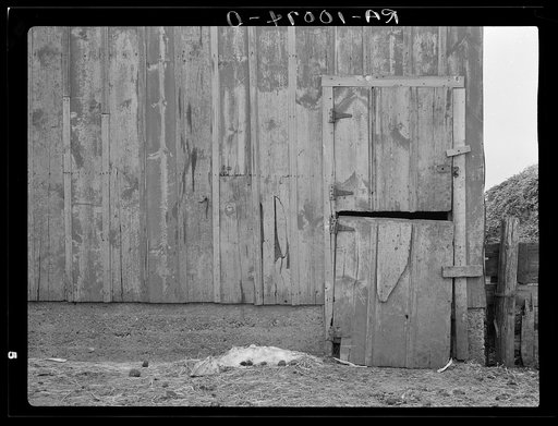 Detail of barn on Lyle Askeland farm of six hundred forty acres, until recently part of an absentee estate near Armstrong, Iowa. Painting and repairing of buildings has been neglected for twenty years. This farm has now been taken over by loan company and is worked on a crop share (fifty-fifty basis