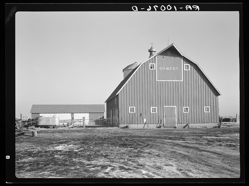 Barn and machine shed of G.H. West, owner-operator of three hundred twenty acres near Estherville, Iowa. He does a great deal of thoroughbred cattle breeding
