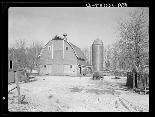 Barn and silo on H.H. Tripp farm near Dickens, Iowa. Two hundred acres. Rents from mother on crop share lease. These are very good buildings and in good repair