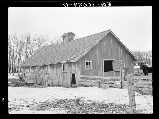 Hog house on Roy Merriott farm near Estherville, Iowa, one hundred sixty acres. Until recently this farm was owned by a loan company. It is now sold to a private owner. This is the third farm Merriot has had sold from under him in the last ten years. He is holding a "quitting farming" sale, as he do