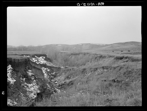 Soil erosion on George Kroeger farm, six miles southwest of Smithland, Iowa. This land is being heavily eroded