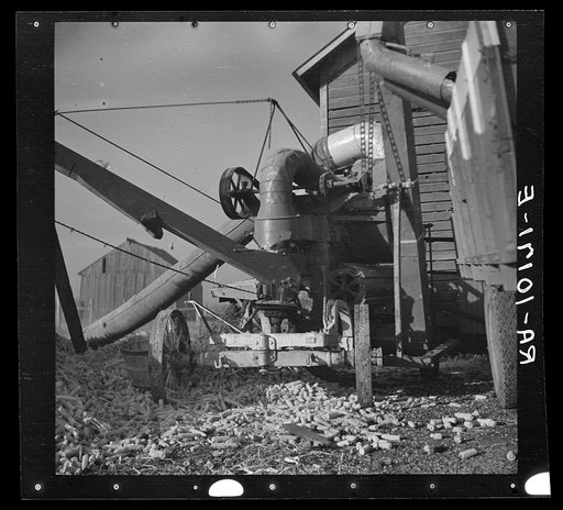 Cornsheller on a farm near Ottawa, Illinois